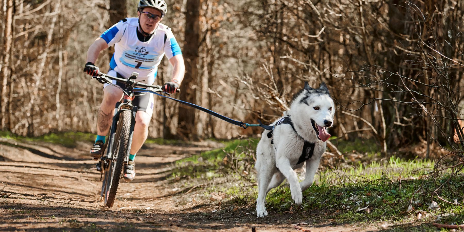 An Introduction to the Thrilling World of Dog-Powered Cycling